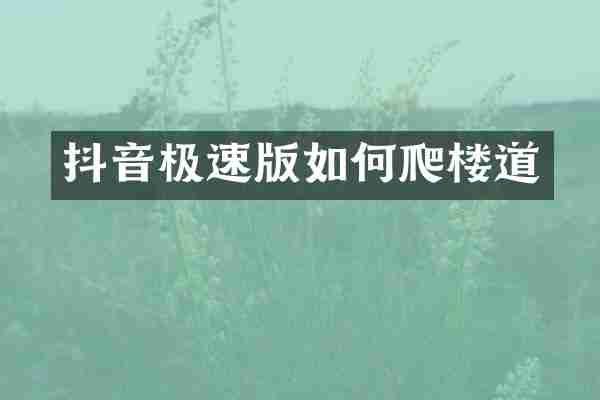 抖音极速版如何爬楼道