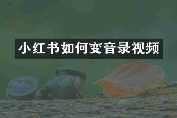小红书如何变音录视频
