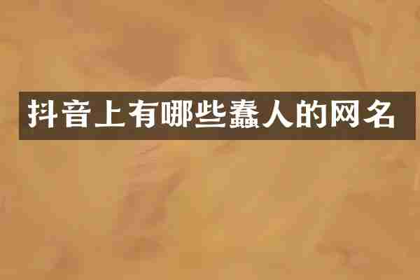 抖音上有哪些蠢人的网名
