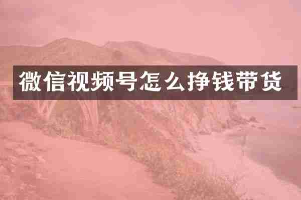 微信视频号怎么挣钱带货