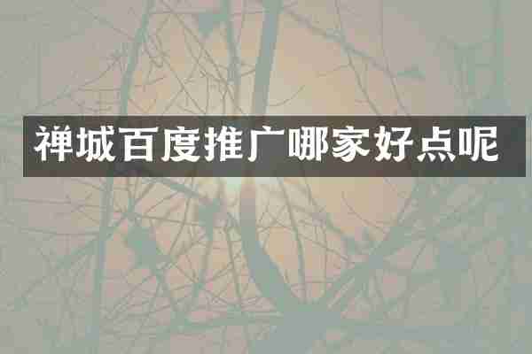 禅城百度推广哪家好点呢