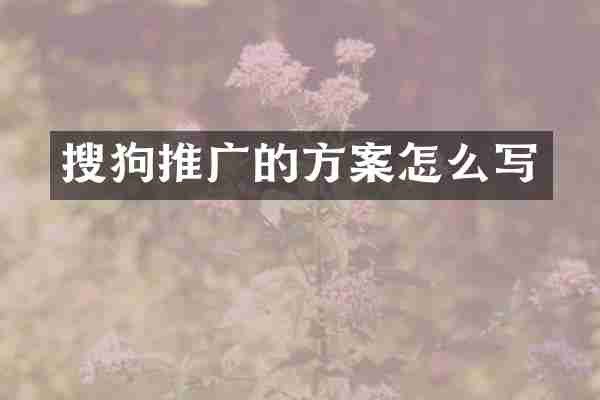 搜狗推广的方案怎么写