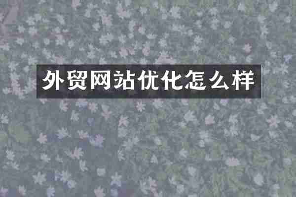 外贸网站优化怎么样