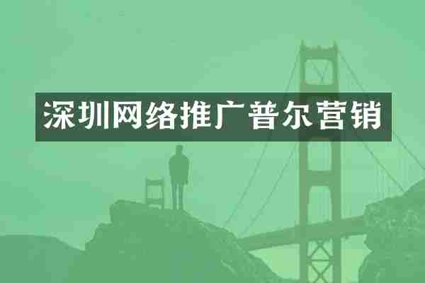 深圳网络推广普尔营销