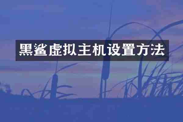 黑鲨虚拟主机设置方法