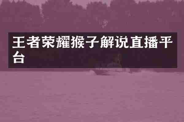 王者荣耀猴子解说直播平台