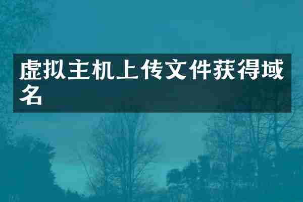 虚拟主机上传文件获得域名