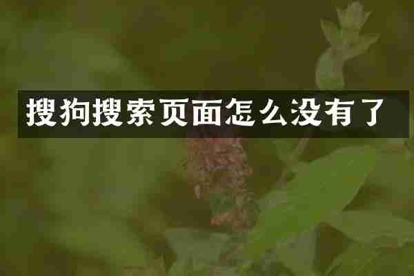 搜狗搜索页面怎么没有了