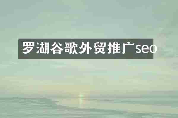 罗湖谷歌外贸推广seo