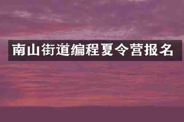 南山街道编程夏令营报名