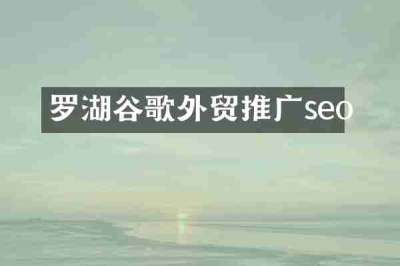 罗湖谷歌外贸推广seo