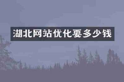 湖北网站优化要多少钱