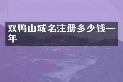 双鸭山域名注册多少钱一年