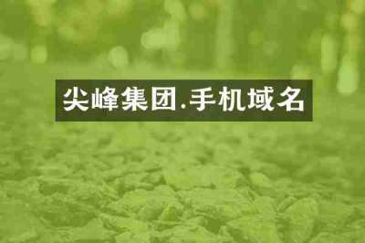 尖峰集团.手机域名