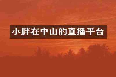 小胖在中山的直播平台