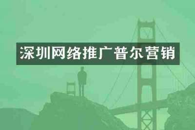 深圳网络推广普尔营销