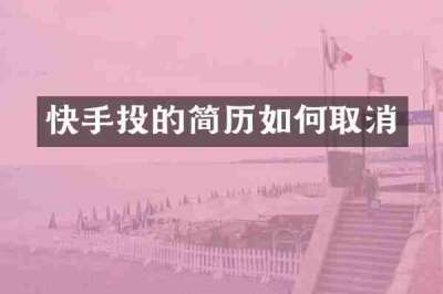 快手投的简历如何取消