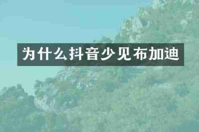 为什么抖音少见布加迪