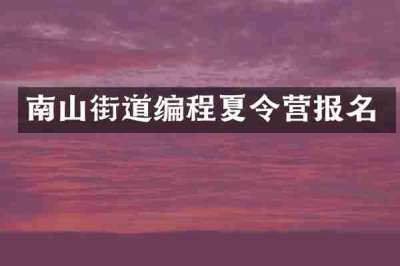 南山街道编程夏令营报名