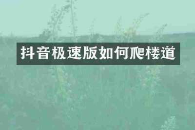 抖音极速版如何爬楼道