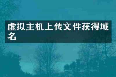 虚拟主机上传文件获得域名