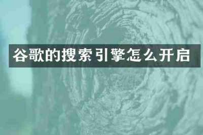 谷歌的搜索引擎怎么开启