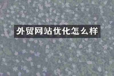 外贸网站优化怎么样