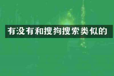 有没有和搜狗搜索类似的