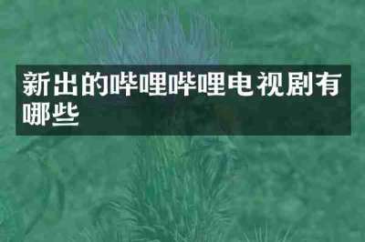 新出的哔哩哔哩电视剧有哪些