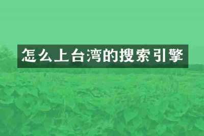 怎么上台湾的搜索引擎