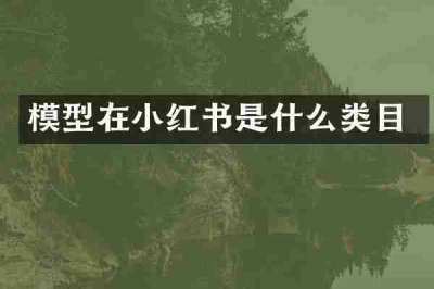 模型在小红书是什么类目