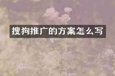 搜狗推广的方案怎么写