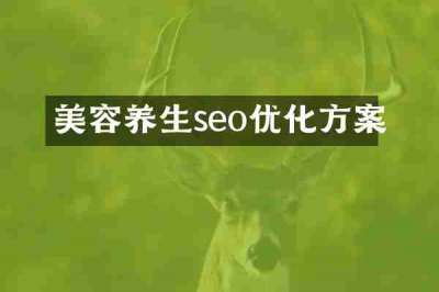 美容养生seo优化方案