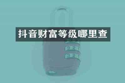 抖音财富等级哪里查