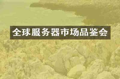 全球服务器市场品鉴会