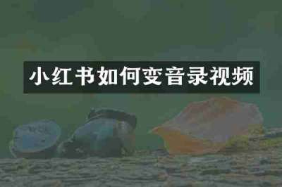 小红书如何变音录视频