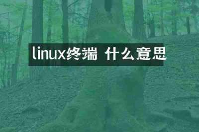 linux终端 什么意思