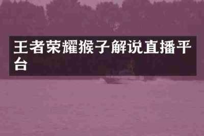 王者荣耀猴子解说直播平台