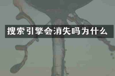 搜索引擎会消失吗为什么