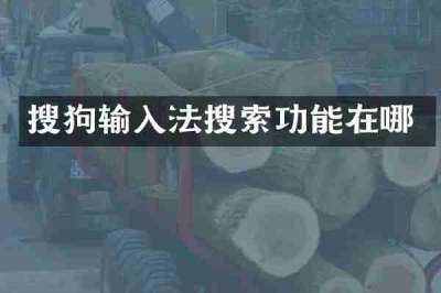 搜狗输入法搜索功能在哪