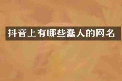 抖音上有哪些蠢人的网名