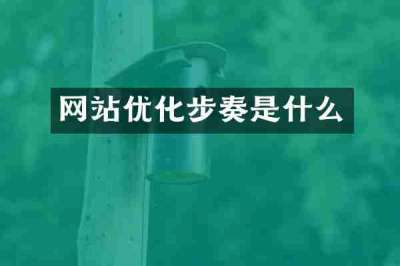 网站优化步奏是什么