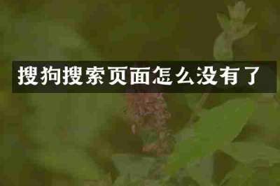 搜狗搜索页面怎么没有了