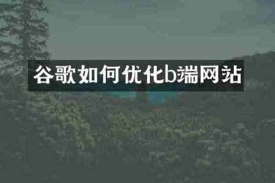 谷歌如何优化b端网站