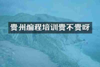 贵州编程培训贵不贵呀