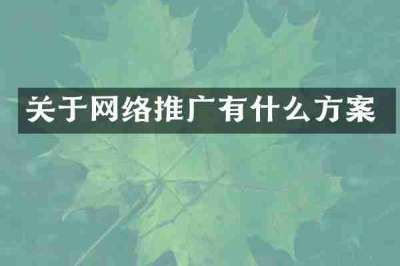 关于网络推广有什么方案