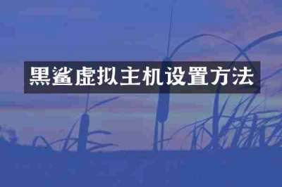 黑鲨虚拟主机设置方法