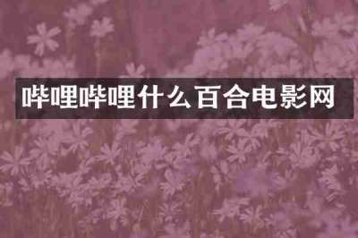 哔哩哔哩什么百合电影网