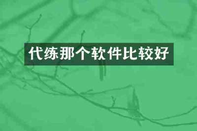 代练那个软件比较好