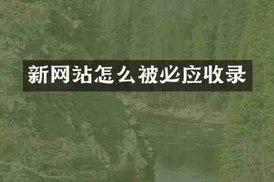 新网站怎么被必应收录